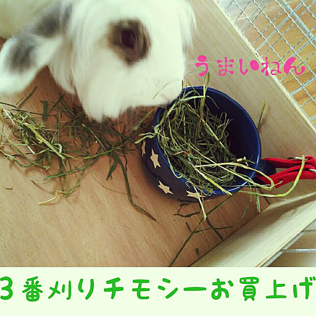 WASABIさんの実例写真