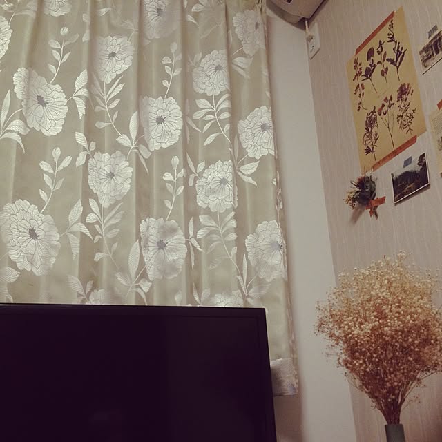 Yukonさんの実例写真
