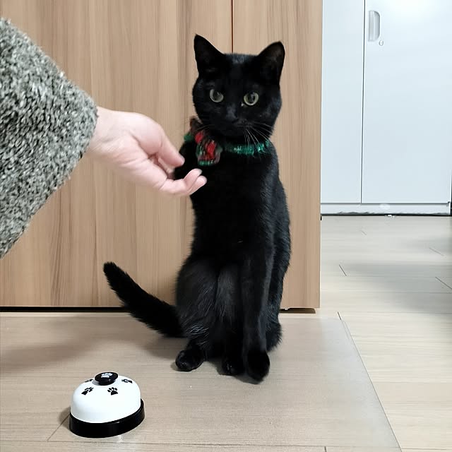 sakuraさんの部屋