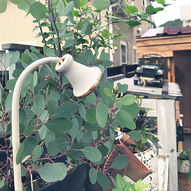 Satokoさんの実例写真