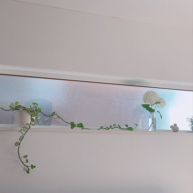 観葉植物/リビングのインテリア実例 - 2020-07-26 21:56:20