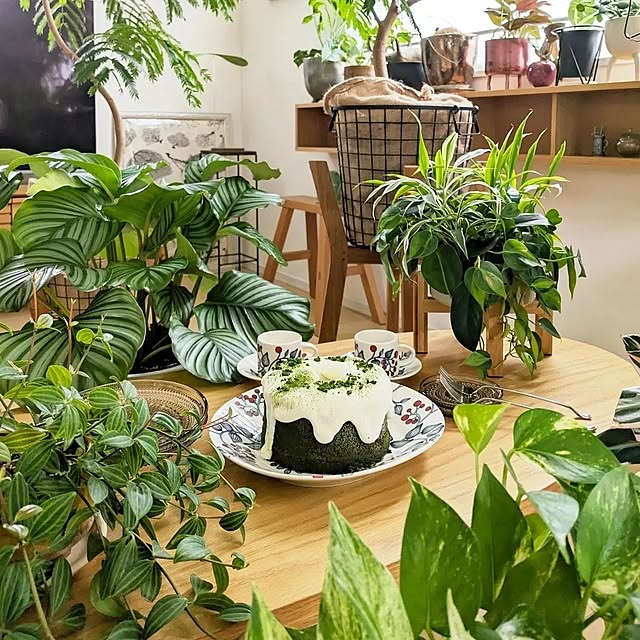 ayamameさんの部屋