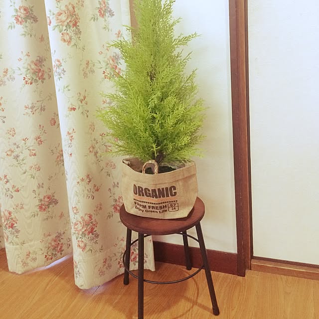 Junkoさんの実例写真