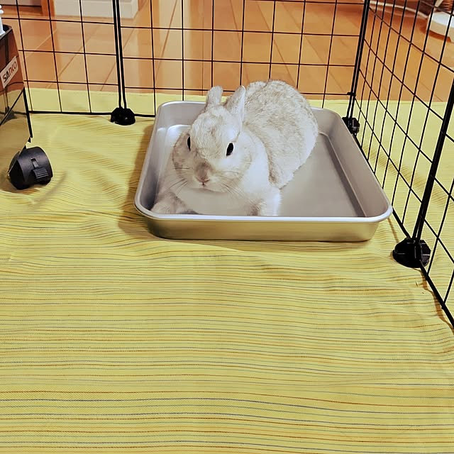 mutsuさんの部屋