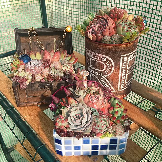 bon-bon-hippieさんの実例写真