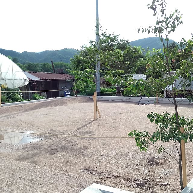 erikoさんの実例写真