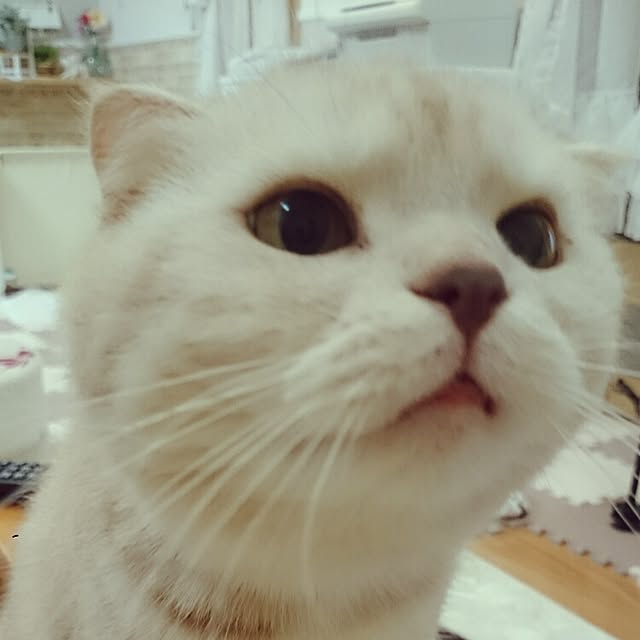 hanahanaさんの実例写真
