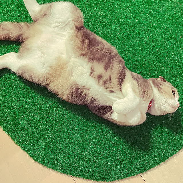 Mari-aさんの実例写真