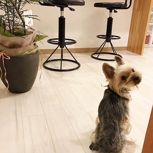 RINさんの実例写真
