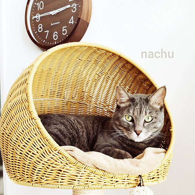 nachuさんの実例写真
