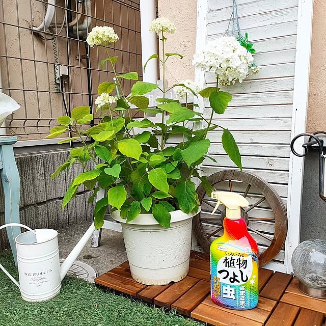YUKKIさんの部屋