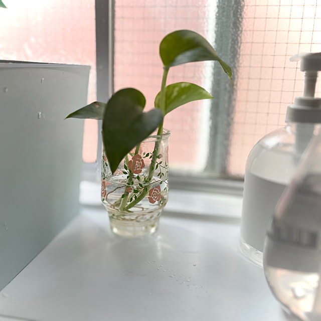 watakoさんの部屋