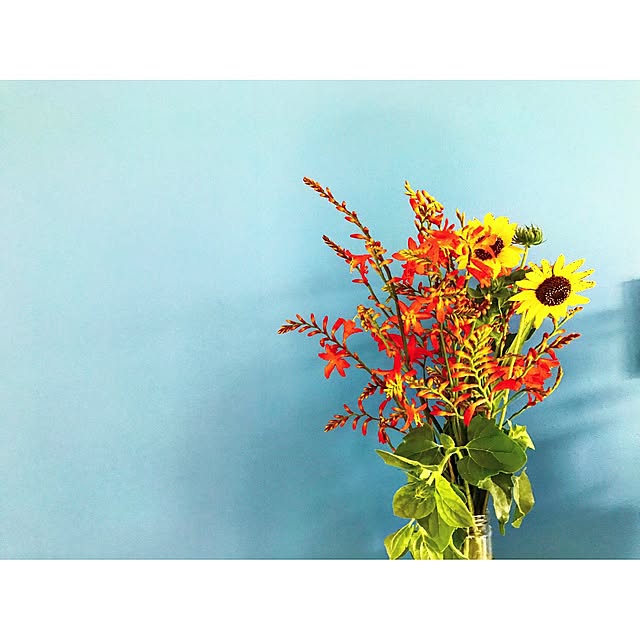 irie-shippo3265さんの実例写真
