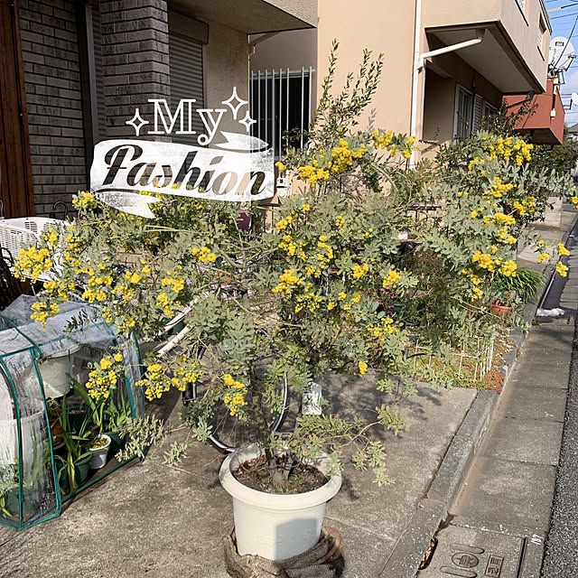 eshinobumさんの実例写真