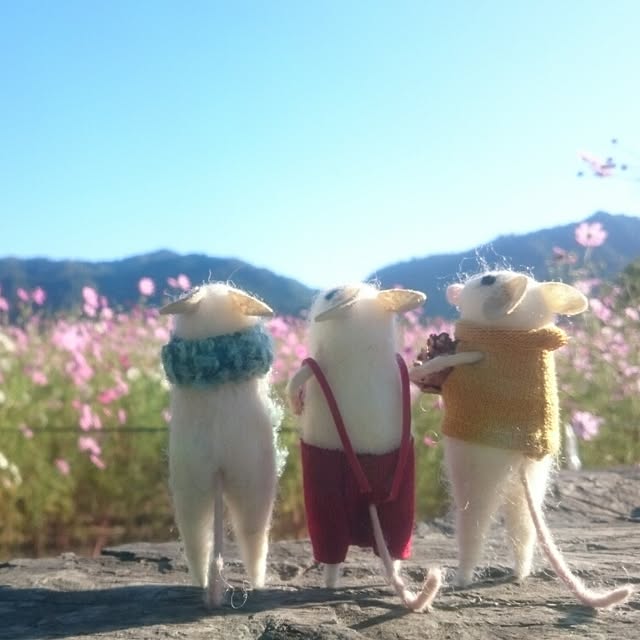 実例写真
