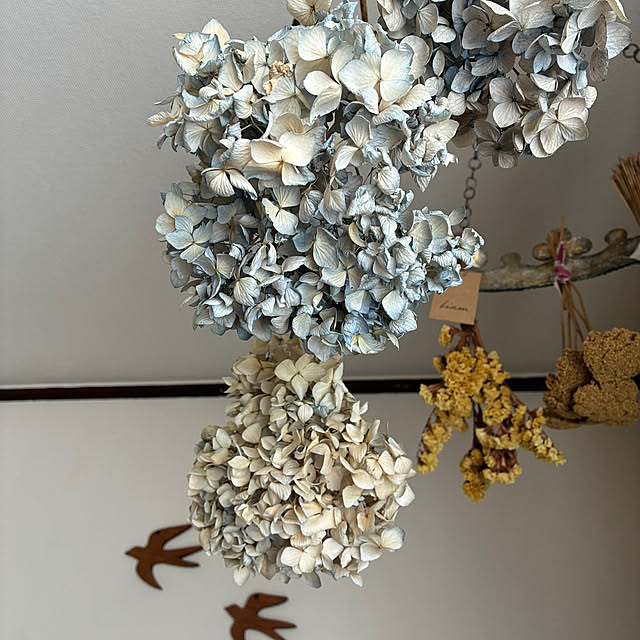 Sachiさんの実例写真