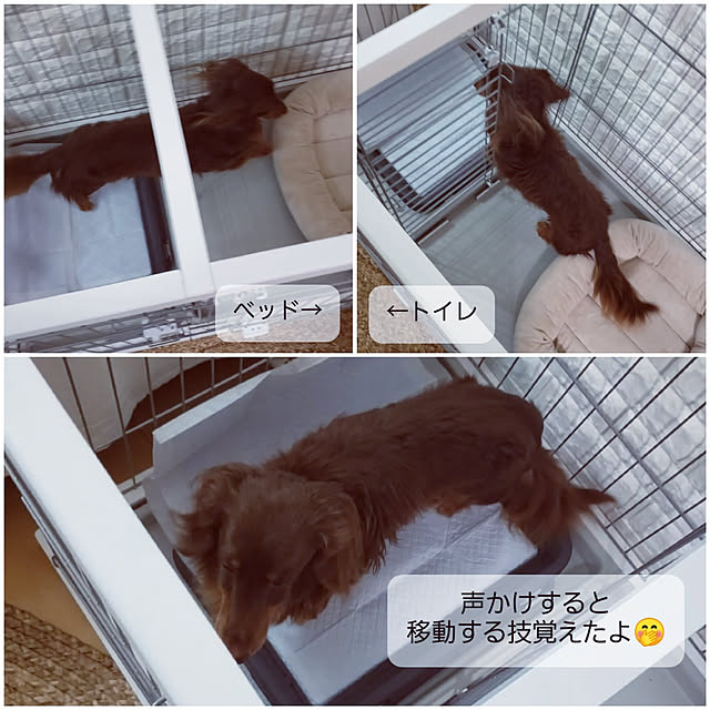puritan_rさんの実例写真