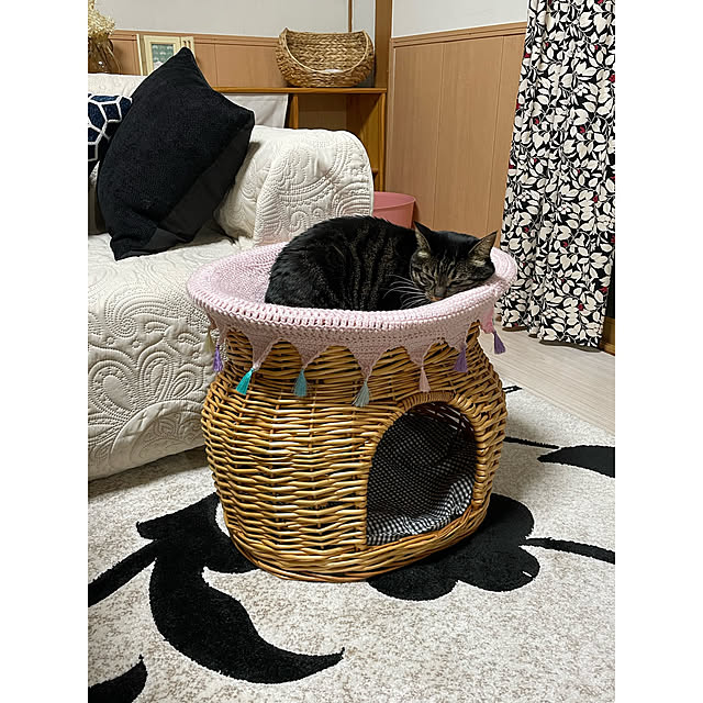 momocchiさんの実例写真