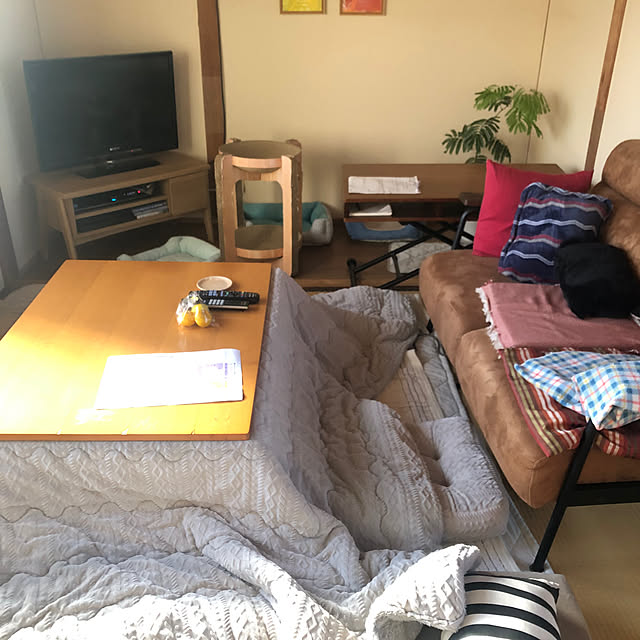 kibidangotabetaiさんの部屋
