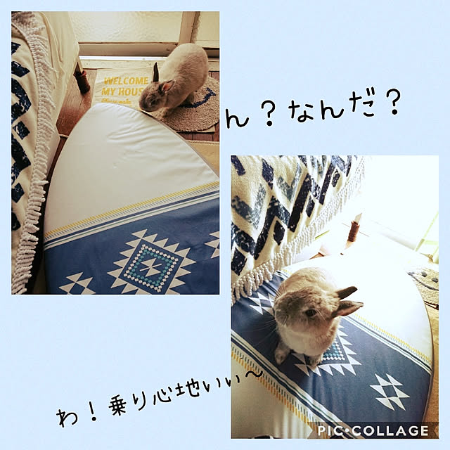 yokomokoさんの実例写真