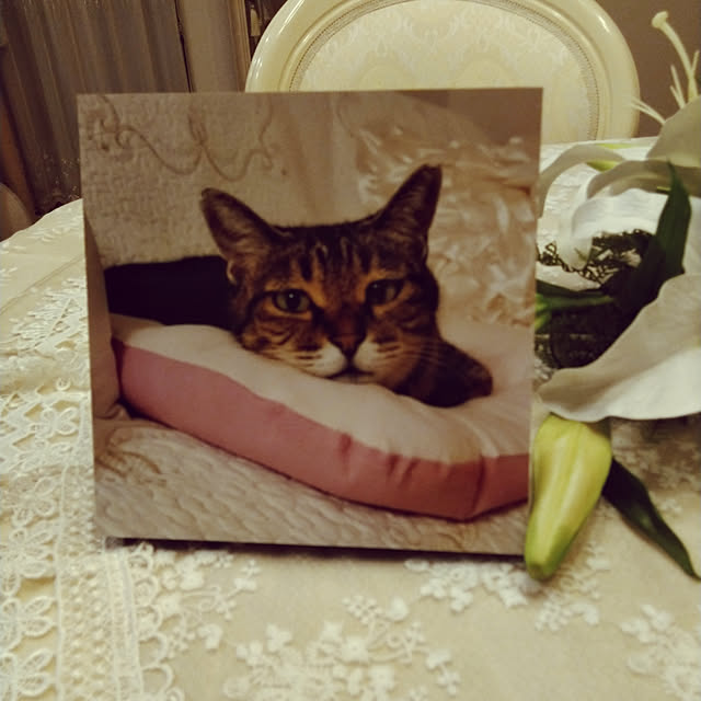 lilyさんの実例写真