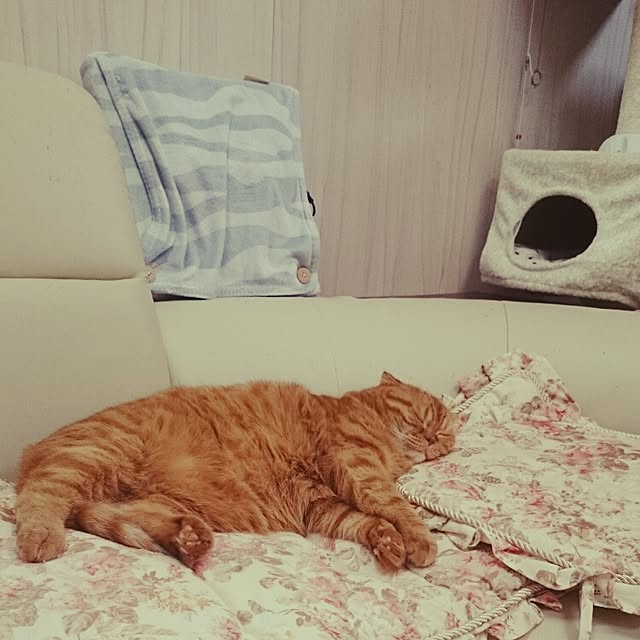 hanahanaさんの実例写真