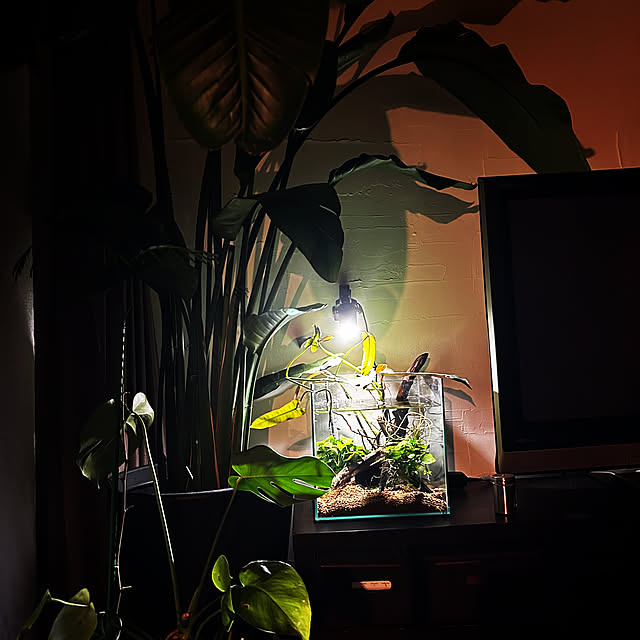 mikamika.n719さんの実例写真