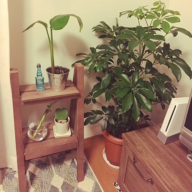yuccoccoさんの実例写真