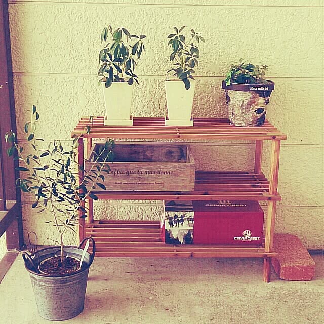 玄関/入り口/salut!/植物/一人暮らし/賃貸のインテリア実例 - 2015-02-10 01:54:35