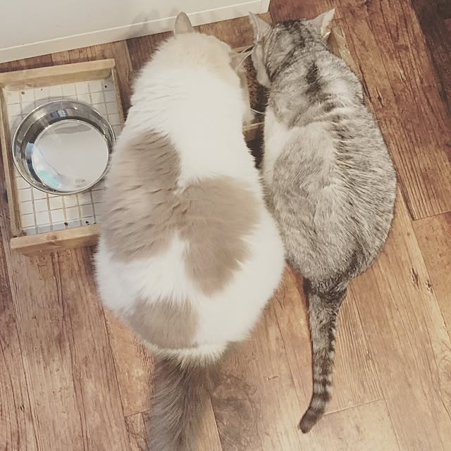 runtenさんの実例写真