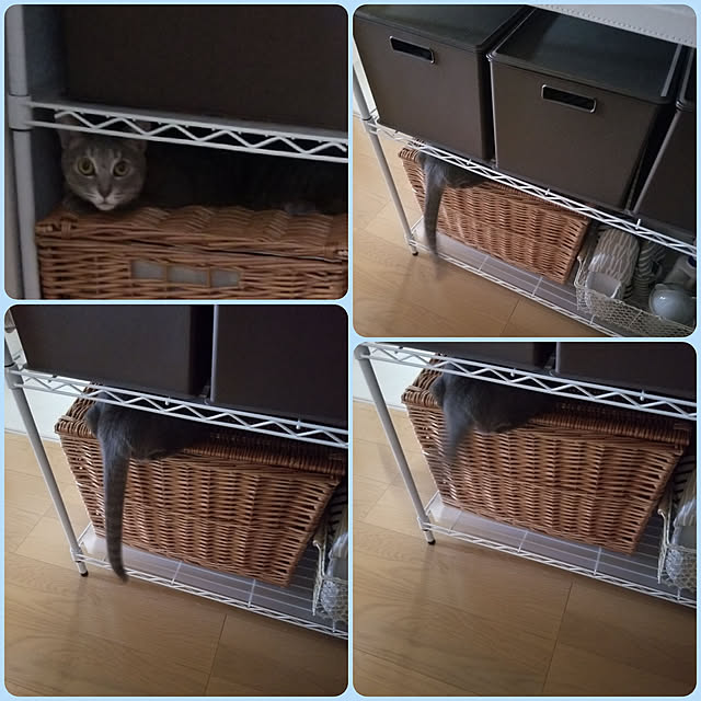 yukiさんの実例写真
