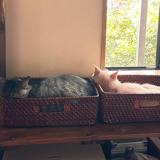 mikan161さんの実例写真