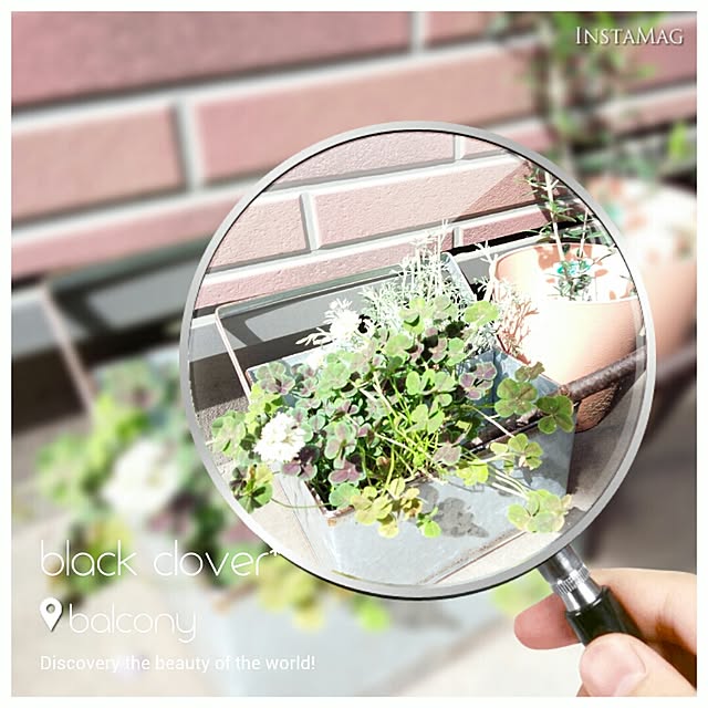 mikaさんの実例写真