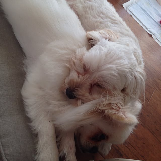 saqura_apartment101さんの実例写真