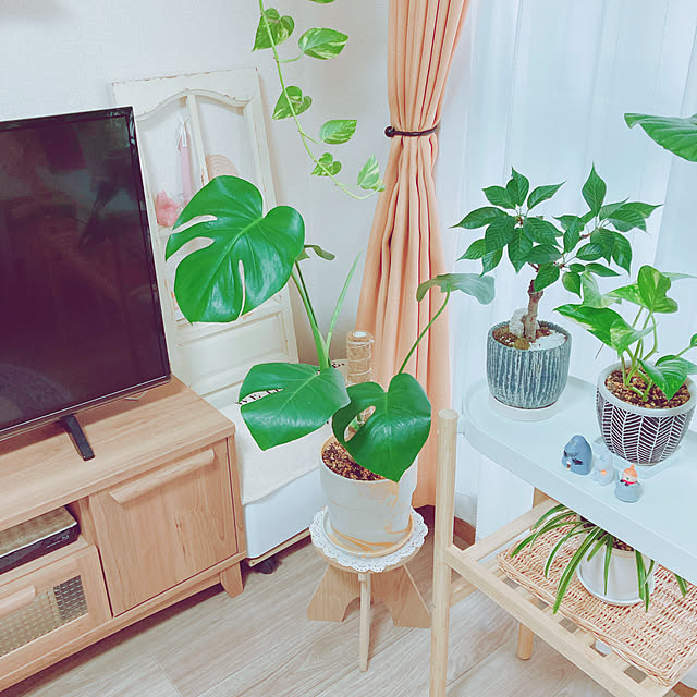 yuyuさんの部屋