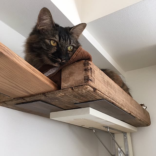 mikomaruさんの実例写真