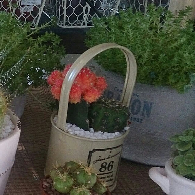 実例写真