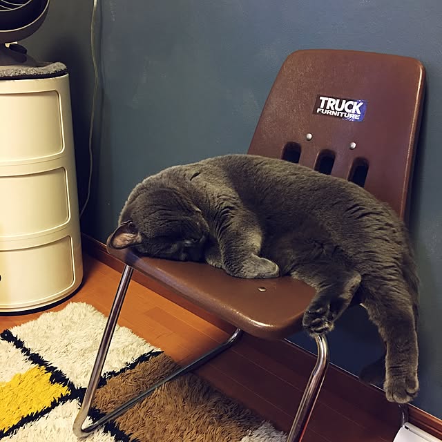 Shojiさんの実例写真