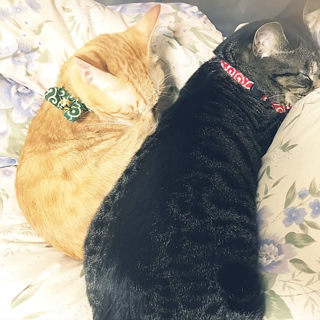 htbtさんの実例写真