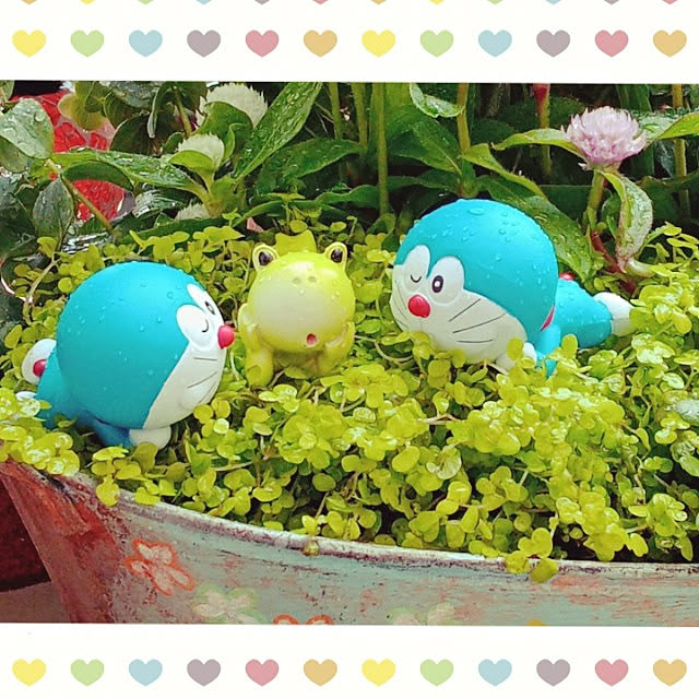 mocomocoさんの実例写真