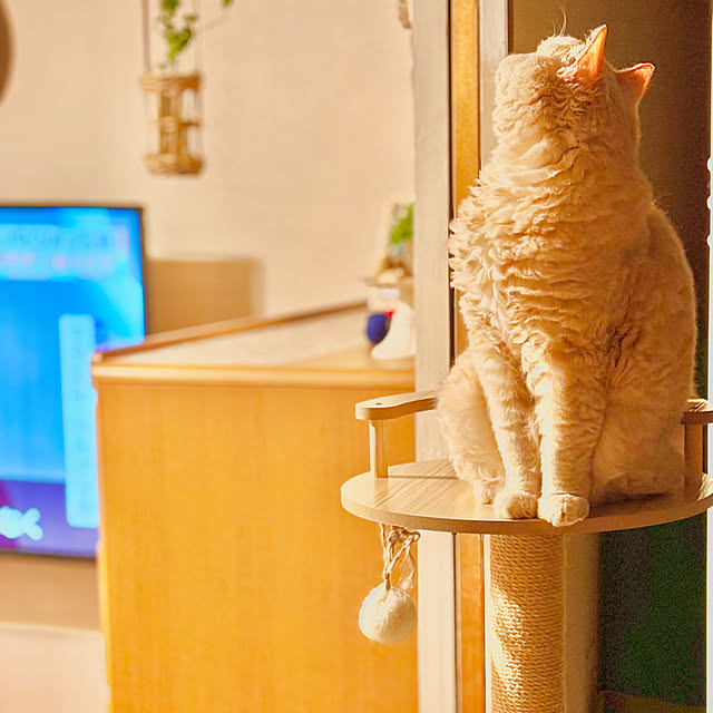 naokoさんの部屋