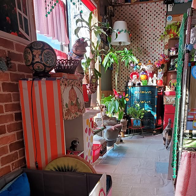 kumutanさんの部屋