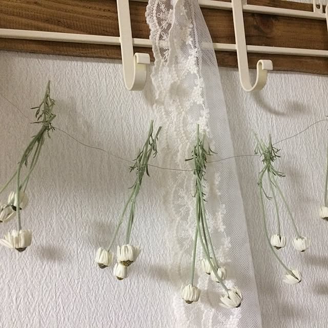 choco_tanさんの実例写真