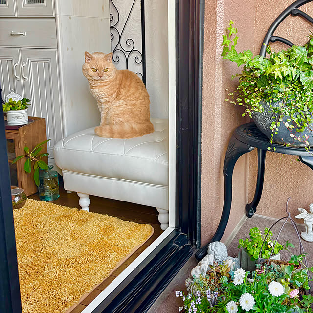 naokoさんの部屋