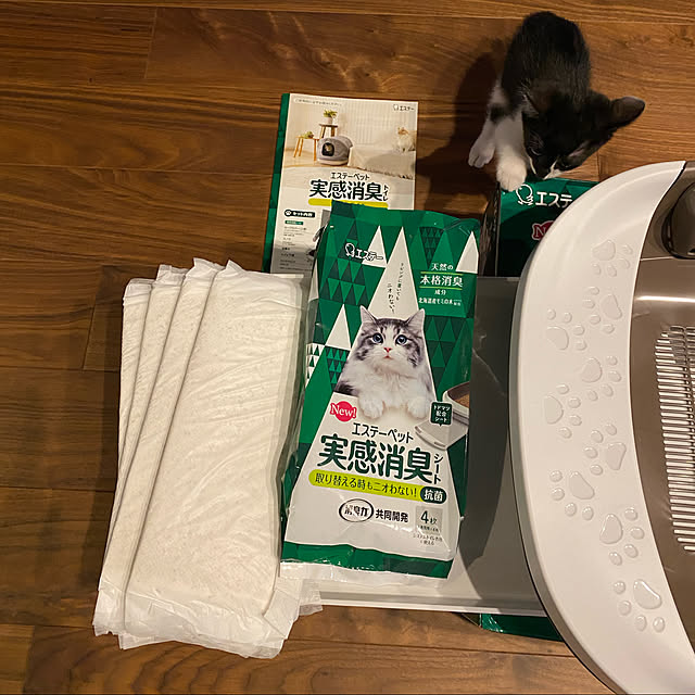 porinさんの実例写真