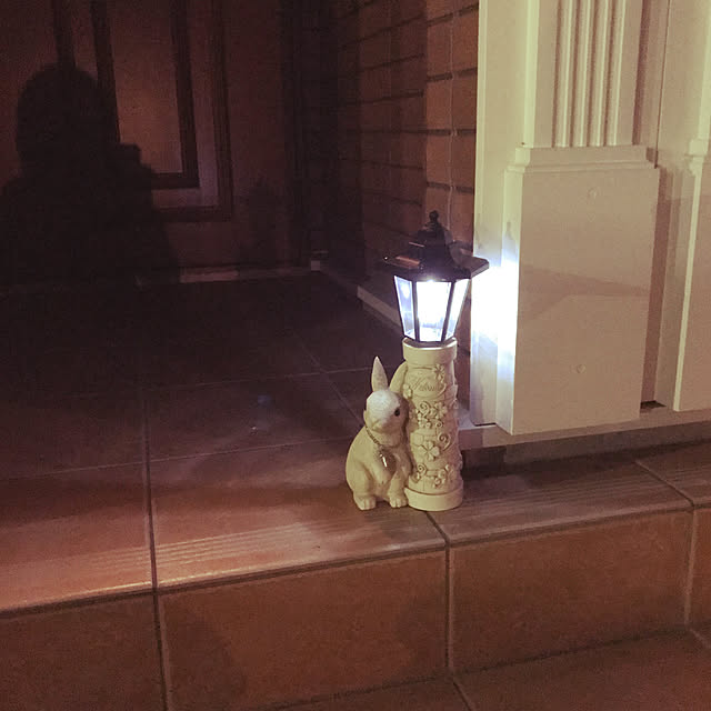 meshiさんの実例写真