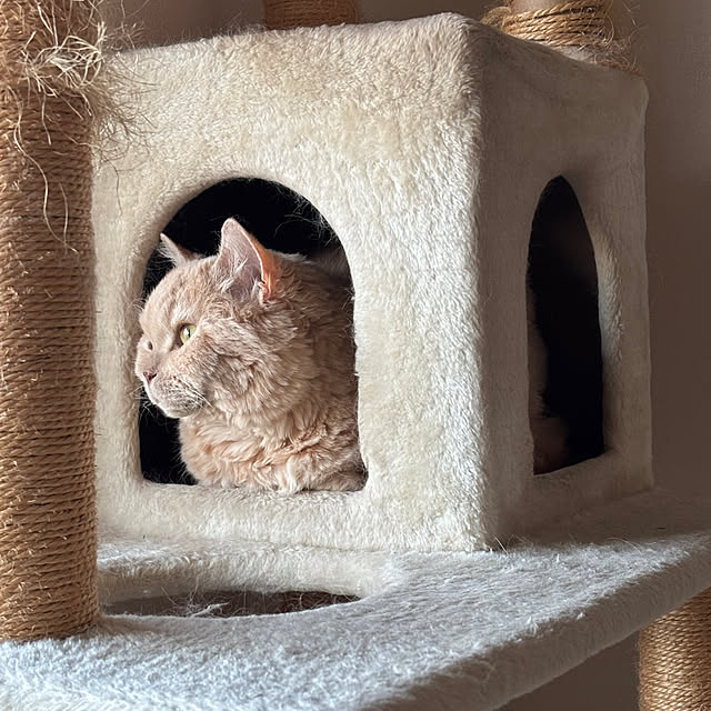 naokoさんの部屋