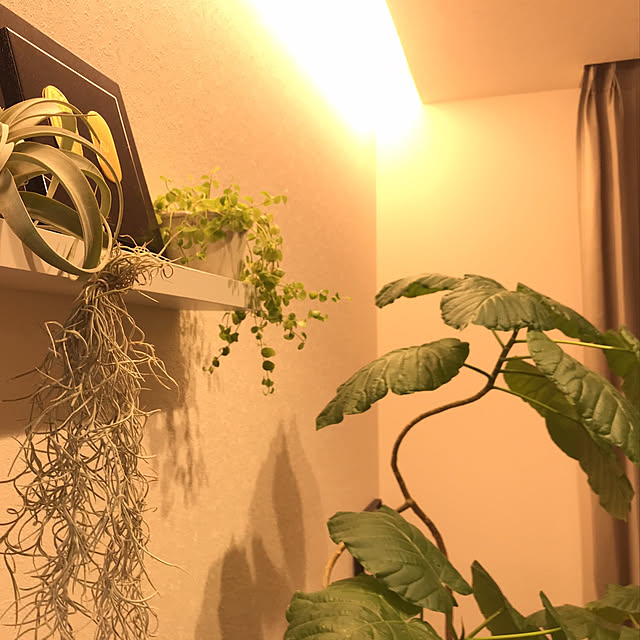 home_m_styleさんの実例写真