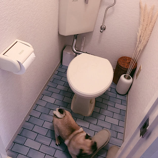 chiyoさんの実例写真