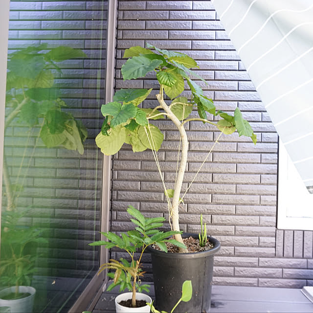 asさんの部屋